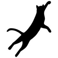 Cat shadow single cute on a white background, illustration. vector