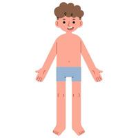 Man's body front cute on a white background, illustration. vector