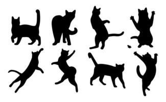 Cat shadow on a white background, illustration. vector