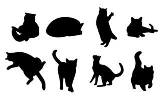 Cat shadow on white background illustration. vector