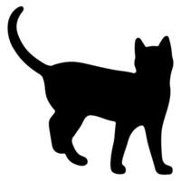 Cat shadow single 32 cute on a white background, illustration. vector