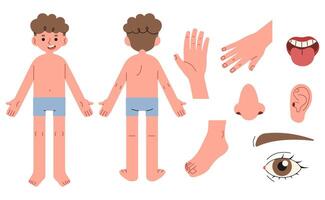 Body parts 6 on a white background, illustration. vector