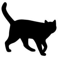 Cat shadow single 40 cute on a white background, illustration. vector