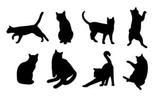 Cat shadow cute on a white background, illustration. vector