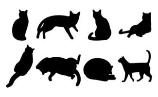 gato sombra 15 fondo, ilustración. vector
