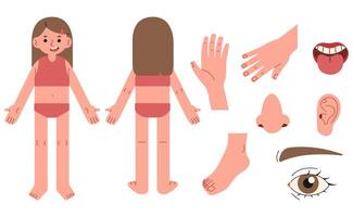 Body parts 7 on a white background, illustration. vector