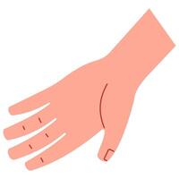 Hand front cute on a white background, illustration. vector