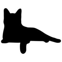 Cat shadow single 5 cute on a white background, illustration. vector