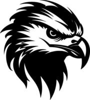 Falcon, Black and White illustration vector