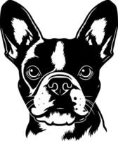 bostón terrier, negro y blanco ilustración vector