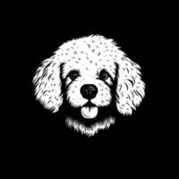 bichón frise - alto calidad logo - ilustración ideal para camiseta gráfico vector