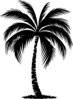 palmera, negro y blanco ilustración vector