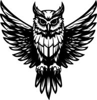 Owl - Black and White Isolated Icon - illustration vector