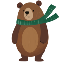 Urso com cachecol desenho animado png