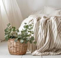Plant in a Basket Next to Bed photo