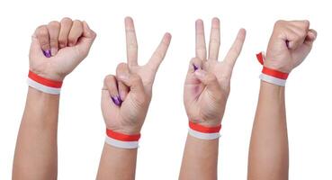 Hand wearing flag ribbon on wrist with various pose, raising fist as success or victory pose, posing number two and three with fingers, isolated over white background. Independence Day concept photo