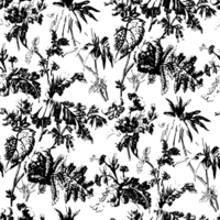 Rustic grunge texture with grain and stains. Abstract noise background. Graphic illustration with transparent background. png