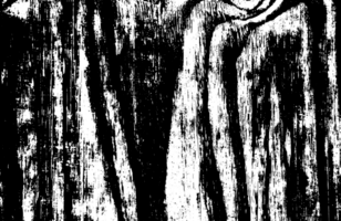 Rustic grunge texture with grain and stains. Abstract noise. graphic illustration with transparent background. png