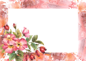 selvaggio rosa anca con mini cuffie, frutti di bosco, fiore e le foglie. cane o brier rosa ramo bandiera su acquerello macchie telaio sfondo. botanico clipart per carta, medico etichetta mano disegnato illustrazione png
