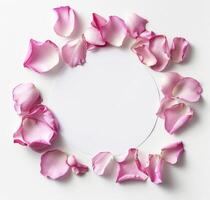 Circle of Pink and White Flowers on White Surface photo