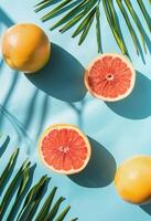 Citrus Fruits and Palm Leaves on Blue Background photo