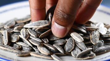 Closeup of hand pick sunflower seeds video