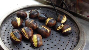 traditional Istanbul street food grilled chestnuts in a row video