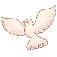 the white dove png