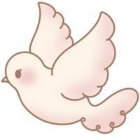 the white dove png