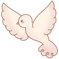 the white dove png