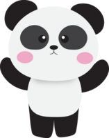 Cute panda . png