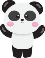 linda panda . png