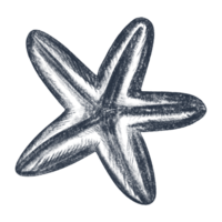 Hand drawn starfish. Sketch pencil illustration of starfish. Monochrome starfish. Black and white graphics in vintage style. png