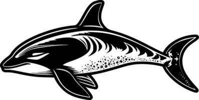 Orca, Black and White illustration vector