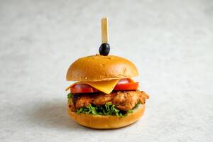 chipotle chicken burger include cheese slice, tomato, onion and lettuce leaf isolated on grey background side view of appetizer fast food photo