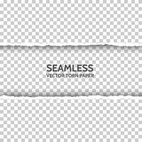 seamless torn paper on background. vector