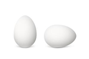 Two realistic white eggs vector