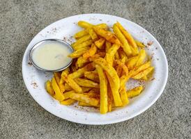 ajo mayonesa papas fritas con condimento y mayonesa inmersión servido en plato aislado en gris antecedentes lado ver de indio especias y pakistaní comida foto