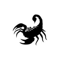 Scorpion or scorpio animal attacks isolated on a white background. Scorpius zodiac symbol tattoo. Black and white hand drawn vector