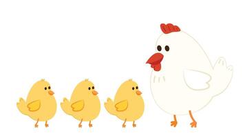 Chick and Hen cartoon . Character design. vector