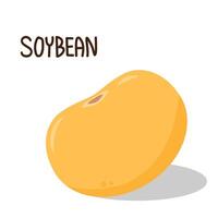 Soybean . Soybean character design. vector