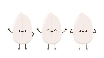 Rice character design. rice on white background. Paddy . vector