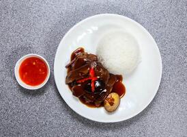 cocido a fuego lento Cerdo trotón con arroz servido en plato aislado en gris antecedentes parte superior ver de hong kong comida foto