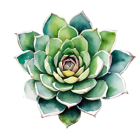 Watercolor and painting Blooming fresh Cactus and flowers succulent plant. AI-Generated png