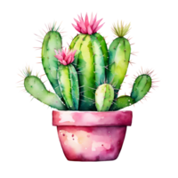vattenfärg och målning blomning färsk kaktus och blommor saftig växt i pott. ai-genererad png