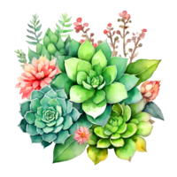 Aquarell und Gemälde Blühen frisch Kaktus und Blumen saftig Pflanze. KI-generiert png