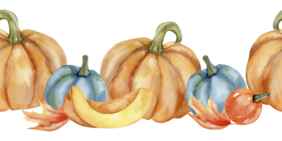 arancia grande zucca con blu e rosso piccolo decorativo zucche e autunno colorato le foglie acquerello senza soluzione di continuità striscione. mano disegnato accogliente autunno confine modello per raccogliere stagione, ringraziamento Festival png