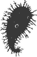 Silhouette amoeba animal black color only vector