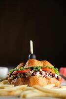 Harvest Chicken Sandwich with french fries and mayonnaise dip isolated on napkin side view of breakfast food photo