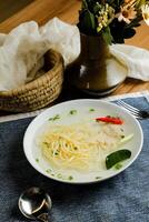 Clear Lemon Chicken Wonton include noodles, spring onion and red pepper served in bowl isolated on napkin side view of chinese soup photo